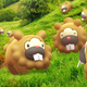 Image for article titled Bidoof Is Taking Over The World (Of Pokémon Go)